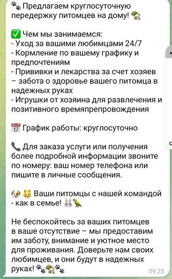 Передержка питомцев