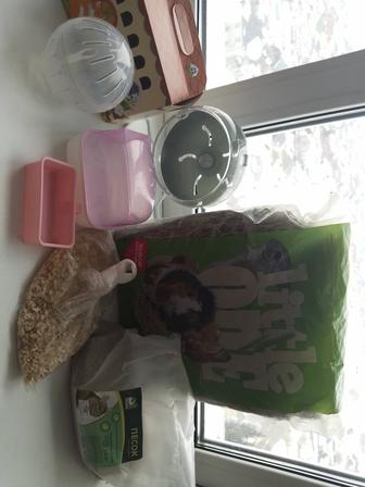 Сено, песок, наполнитель, колесо, посудки для хомяка