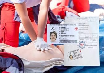 Курс оказание первой доврачебной помощи
