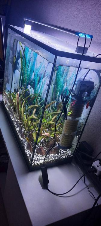 Продам укомплектованный аквариум на 80 л