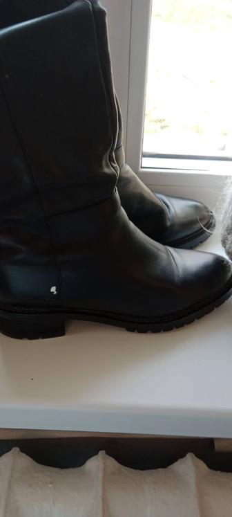 Сапоги женские демисезонные Basconi