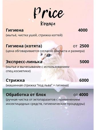 Услуги грумминга- мытье, экспресс-линька, стрижка