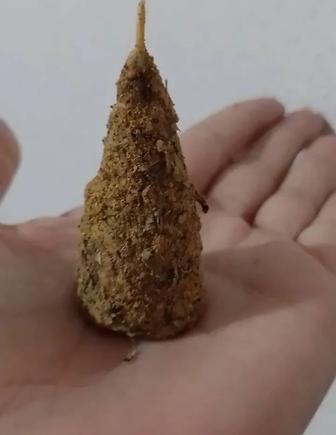 Свечи програмные