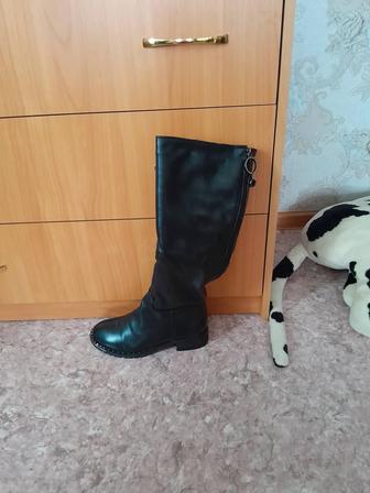 Продам сапоги