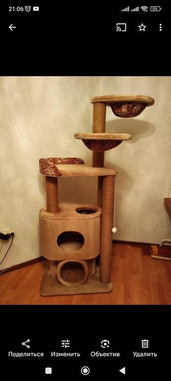 Когтеточки, домики для кошек