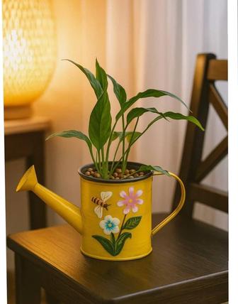 Спатифиллум , женское счастье 25 см.