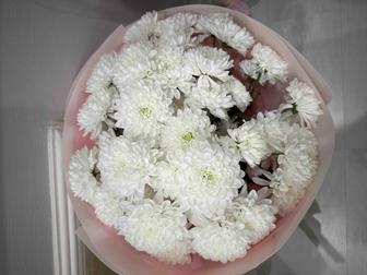 Продам цветы