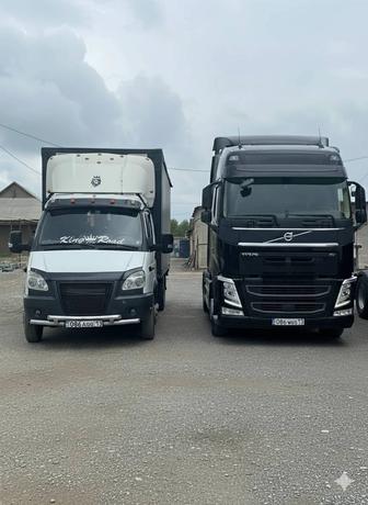 ТУРКЕСТАН-АЛМАТЫ ГАЗЕЛЬ ЖУК АЛАМЫЗ