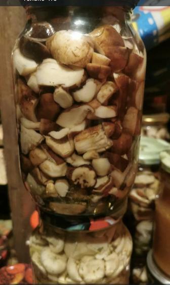 Продам грибы