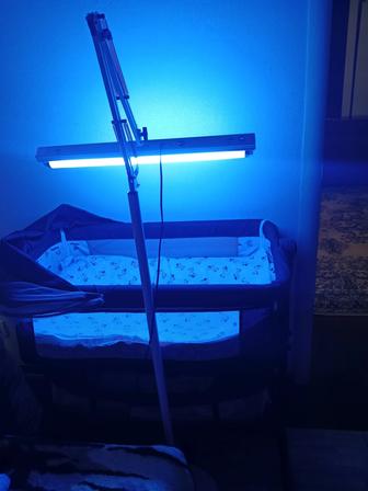 Аренда фотолампы от желтушки