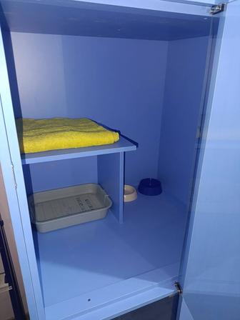 Отель (передержка) для кошек JnV Cats Hotel