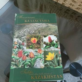 Тюльпаны Казахстана