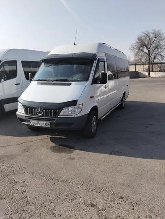 Пассажирские перевозки