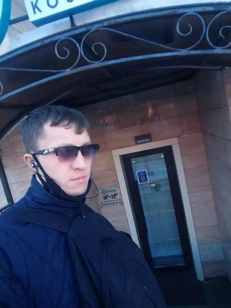 Web-мастер