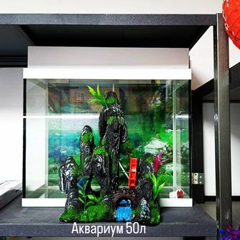 Аквариум 50л