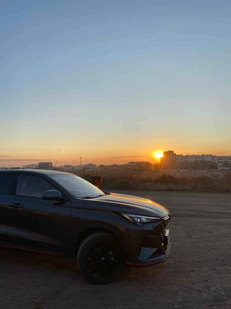 Трезвый водитель