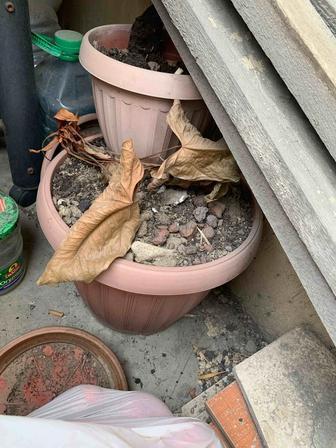 Бесплатно для цветов большой горшок с землей