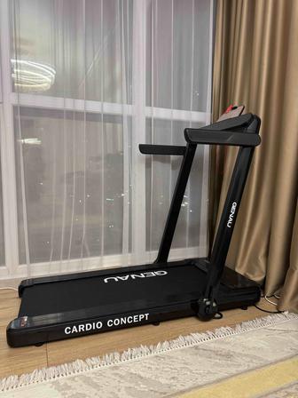 Беговая дорожка