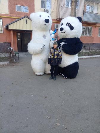 Мишка на ваш праздник