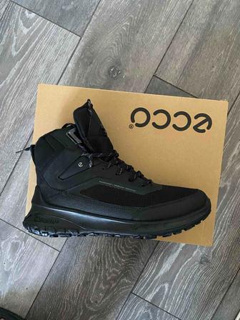 Ecco ULT-TRN новый оригинал