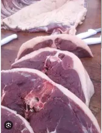 Мясник касапшы,қасапшы Астана