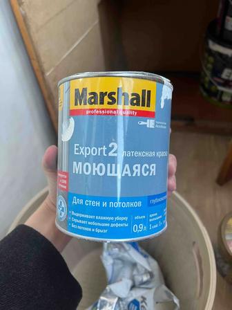 Краска моющаяся