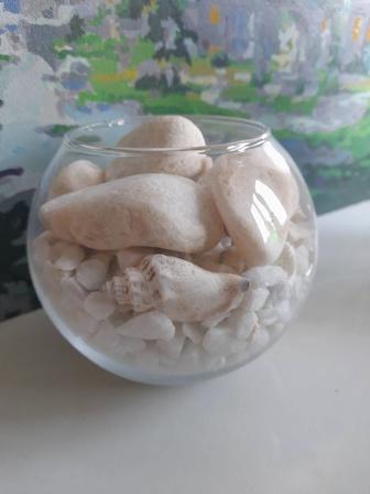 Продам вазу с камнями и ракушками.