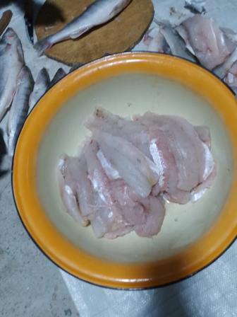 Продается филе судака