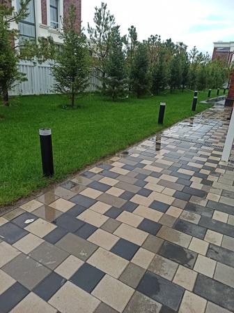 Посадка деревьев посадка цветов посев газона