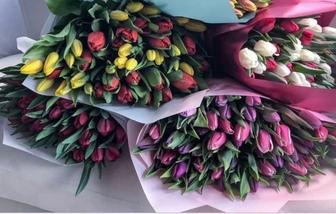 Цветы, тюльпаны, подарки