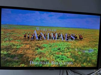 Телевизор TCL Android TV