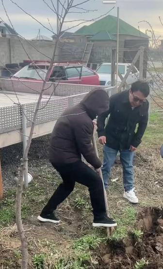 Капаем частных земельных, участках