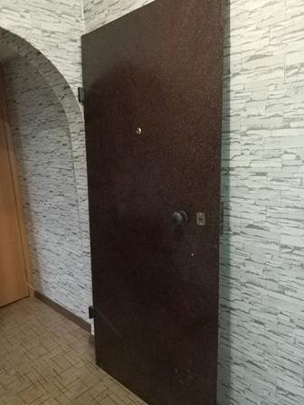 Входная, железная дверь