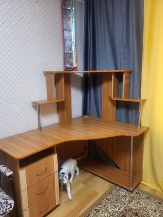 Компьютерный стол угловой