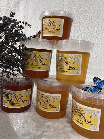 Натуральный мёд с пасеки Талгар / доставка
