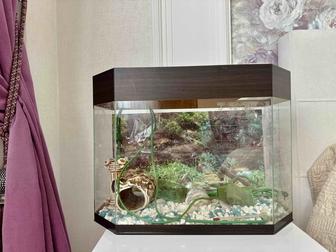 Аквариум в сборе