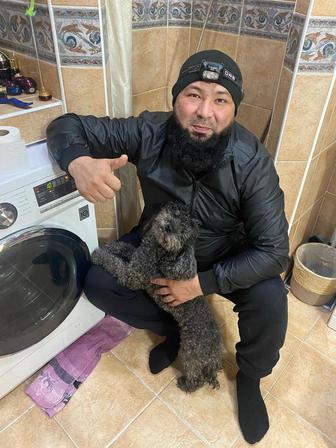 Выездной сервис центр в Ауэзовском районе