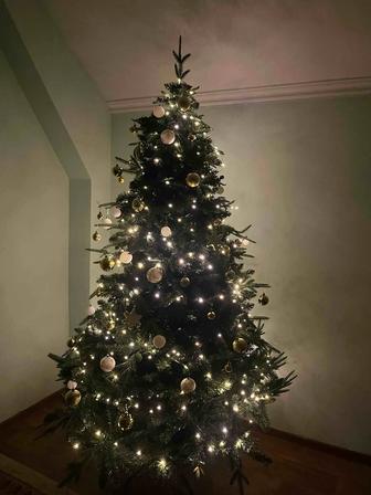 Елка сатамыз