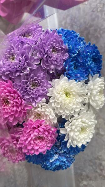 Продам свежие красивые цветы