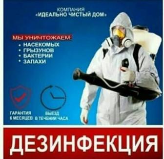 Дезинфекция