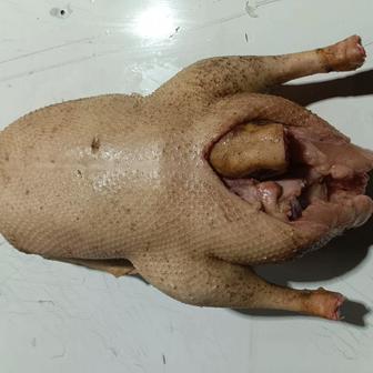 Продам мясо гуся