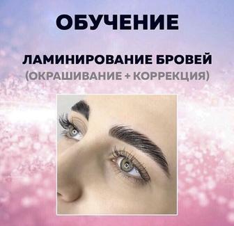 курс «Ламинирование бровей + окрашивание + коррекция и Ботокс бровей»