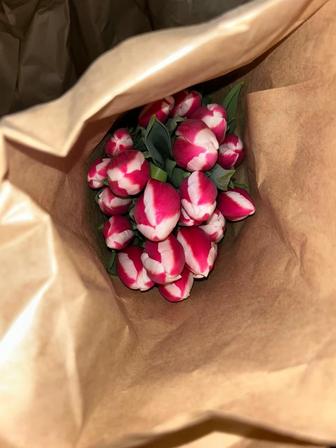 Тюльпан по 700 тенге за штуку