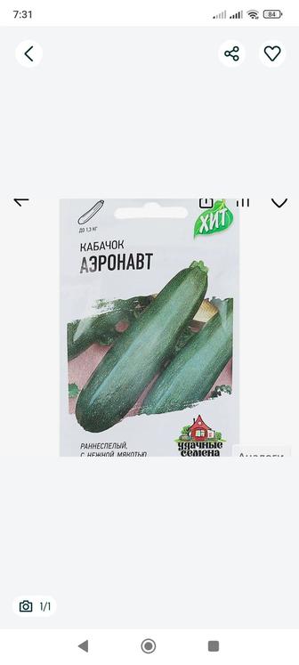Продам семена кабачков