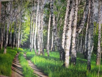 Все виды евро ремонта