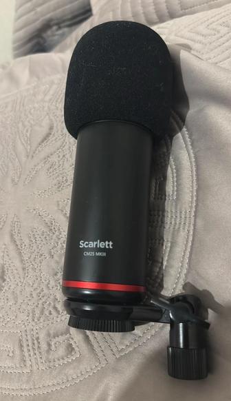 Микрофон Focusrite CM25 MkIII (из комплекта Scarlett 4th Gen)