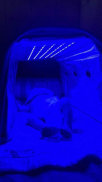 Прокат на аренду лампа