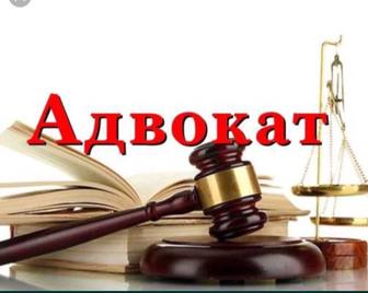 Адвокат
