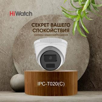 IP камера купольная IPC- T020(C)