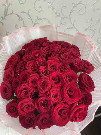 Продам букет красных роз (51шт)